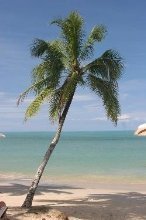 Le Meridien Khao Lak Beach & Spa Resort - Image 2