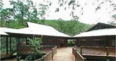 Cedar Creek Falls Retreat - Image 1