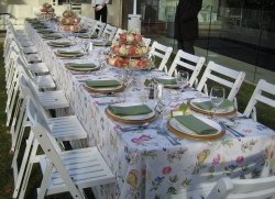 Linen Hire from Di Simmons