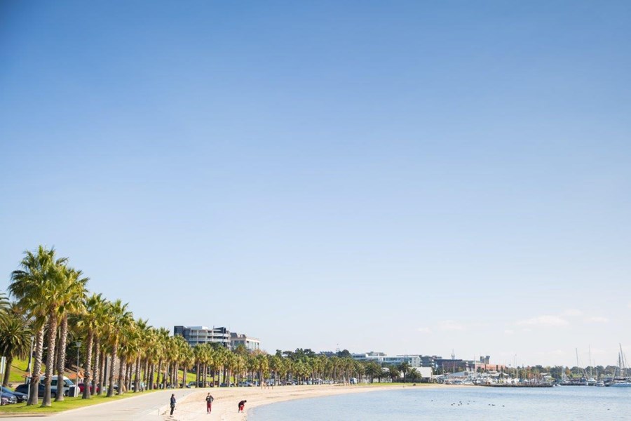 Geelong front beach