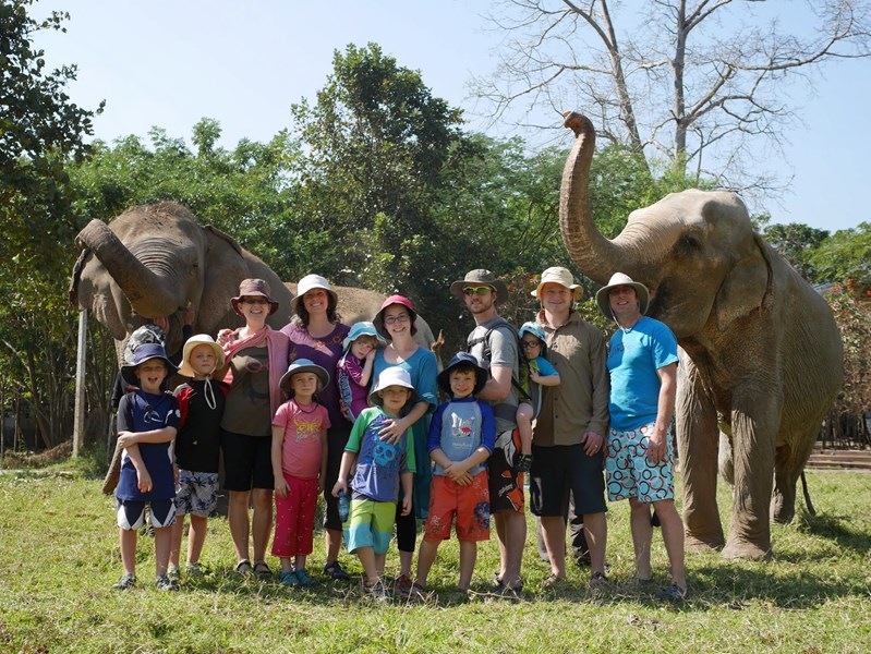 Interacting with the majestic elephants in Chiang Mai