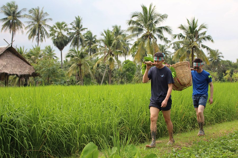 Eco-adventure Team Building at the Organic Farm