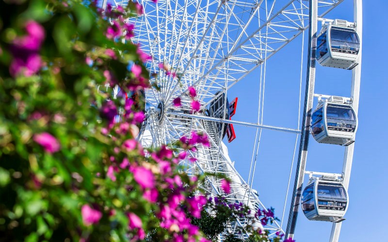 Set in the beautiful South Bank Parklands among gardens and close to the Brisbane Convention and Exhibition Centre, a 10 minute walk from Brisbane city and surrounded by a range of restaurants, cafes, parking and entertainment facilities 