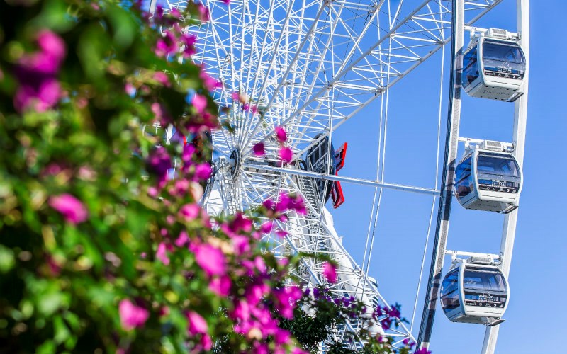 Set in the beautiful South Bank Parklands among gardens and close to the Brisbane Convention and Exhibition Centre, a 10 minute walk from Brisbane city and surrounded by a range of restaurants, cafes, parking and entertainment facilities 