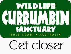 Currumbin Wildlife Sanctuary