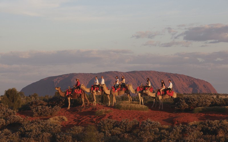 NT Convention Bureau