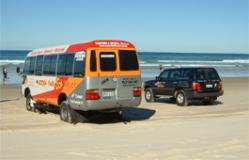 Noosa Nature Tours