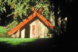 Buried Village of Te Wairoa