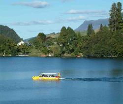 Rotorua Duck Tours