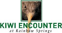Kiwi Encounter