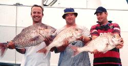 New Zealand Fishing Safaris