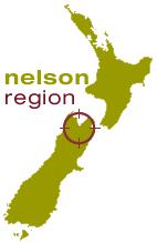 Bay Tours Nelson