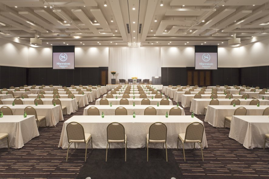 Palace ballroom with 6.0m high ceiling and wireless LAN access